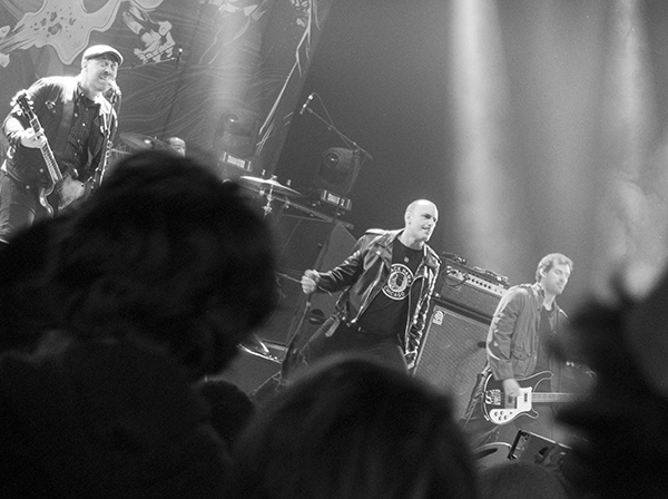 Screeching Weasel groezRock 2014